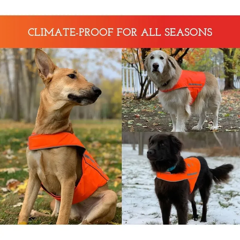 Spot The Dog Reflective Safety Vest Orange High Visibility Hunting Pet Gear XL